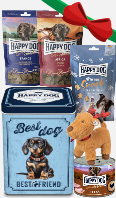 Xmas Dog Box - Coffret de Noël Happy Dog