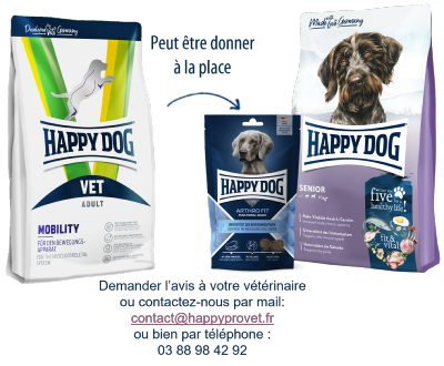 Happy Dog VET Mobility (Arrêt de production)